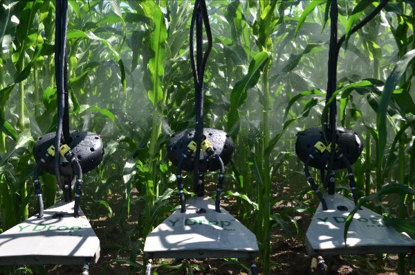 TARGETED APPLICATION. An attachment to the Y-Drop application units is the 360 UnderCOVER spray applicator. This tool can apply fungicides, insecticides or other nutrients underneath the canopy of corn plants, spraying up toward the bottom of leaves, which can help target and combat invasive pests.  Photo courtesy of 360 Yield Center