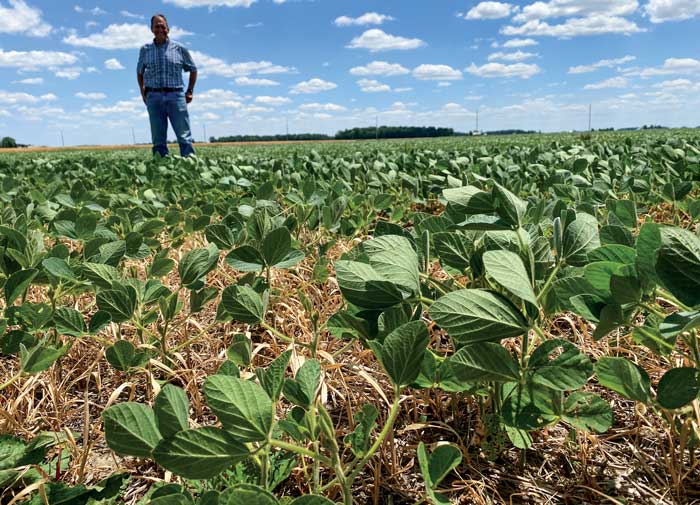 Sonnenberg-no-tills-soybeans-in-7-5-inch-rows.jpg