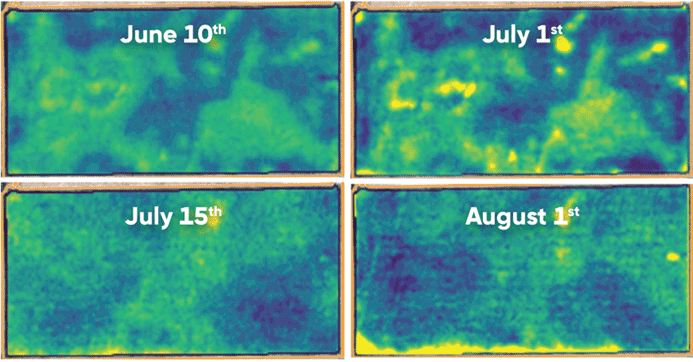 Figure 10 1.gif