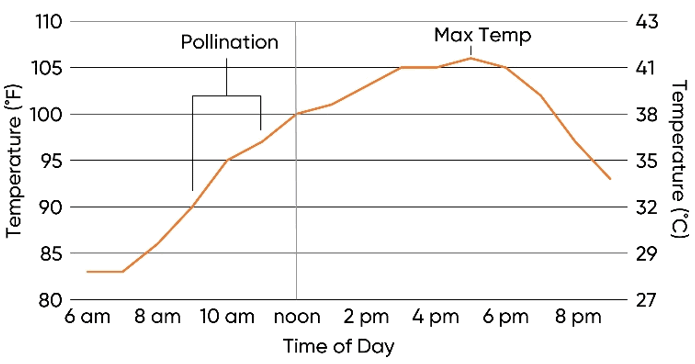 Figure 2.gif