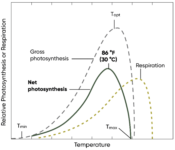 Figure 5.gif