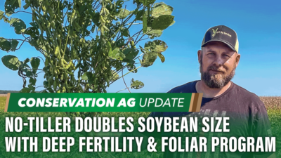 No-Tiller Doubles Soybean Size with Deep Fertility & Foliar Program