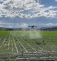 DroneCropSpraying_Drought-696x744.png