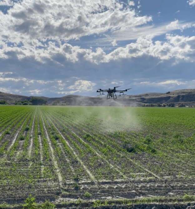 DroneCropSpraying_Drought-696x744.png