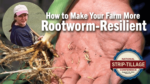 How-to-Make-Your-Farm-More-Rootworm-Resilient2.png