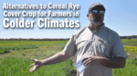 Alternatives-to-Cereal-Rye-Cover-Crop-for-Farmers-in-Colder-Climates.png