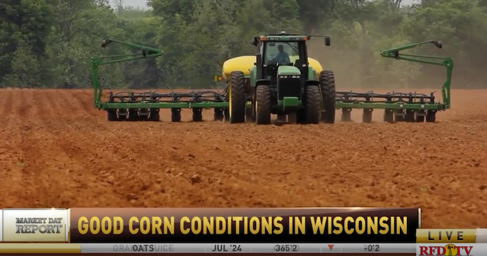 Good-Corn-Conditions