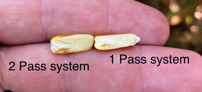 fungicide-kernel