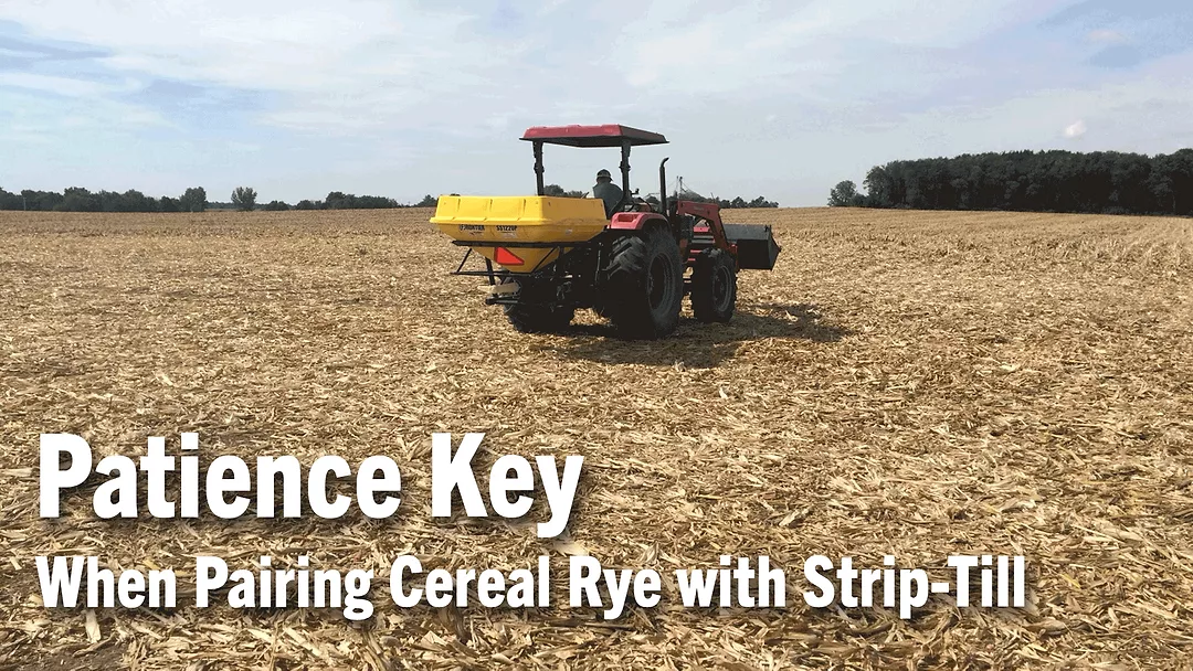 Patience-Key-When-Pairing-Cereal-Rye-with-Strip-Till.png