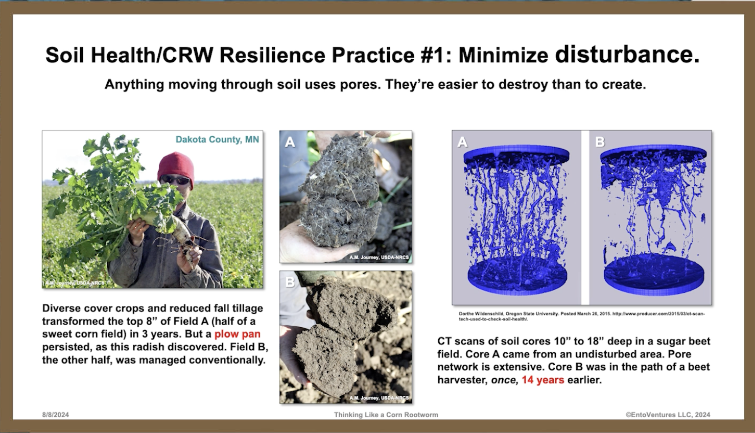 rootworm-journey-1.png