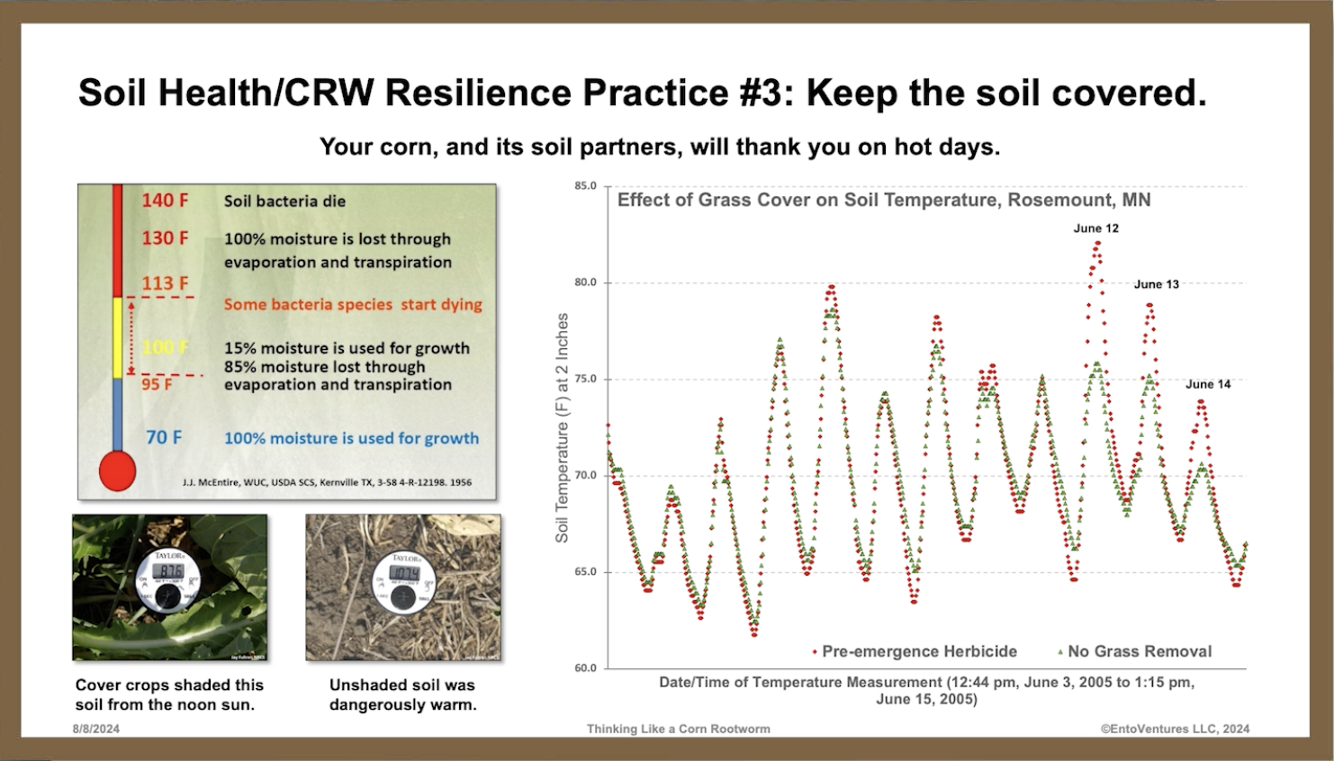 rootworm-journey-5.png