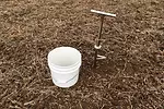 Soybean Cyst Nematode (SCN) soil testing.webp