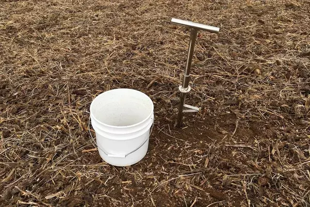 Soybean Cyst Nematode (SCN) soil testing.webp
