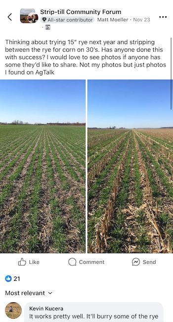 strip-till-forum-botw.jpeg