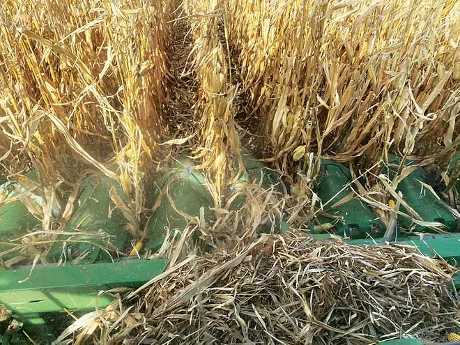 7 Tips for a Better Harvest