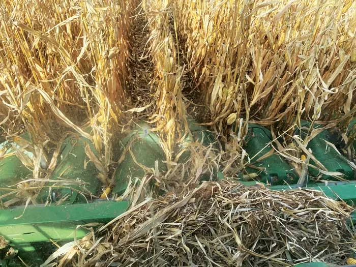 OTS for Harvest segment.jpg