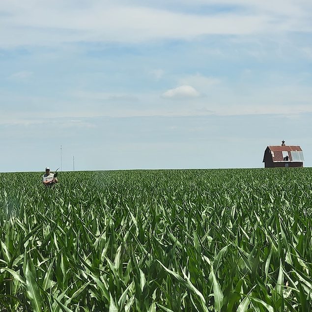 Strip-Till Beginner Grows ‘Best Crop Ever’ with Multiple Application ...