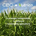 A strategic collaboration to advance sustainable agriculture.jpg