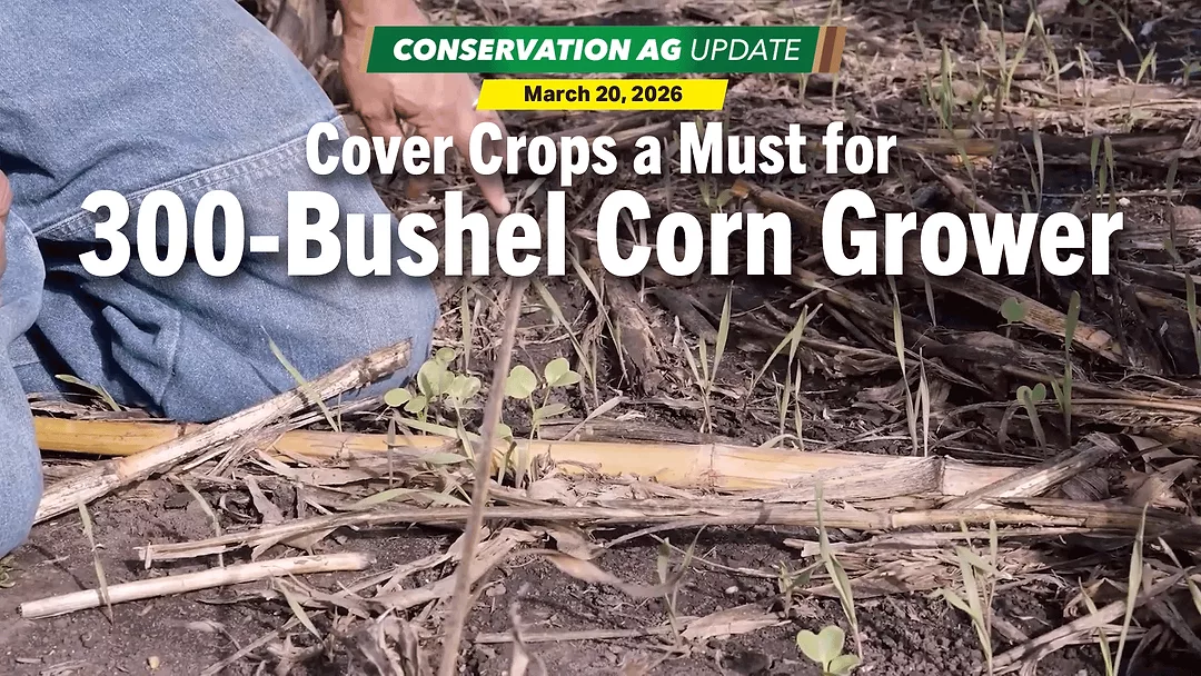 Cover-Crops-a-Must-for-300-Bushel-Corn-Grower.png