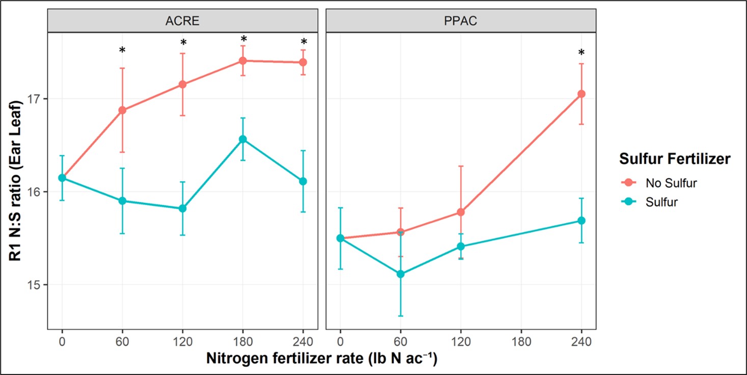 Corn R1 growth stage ear leaf nitrogen content varies among nitrogen rates.