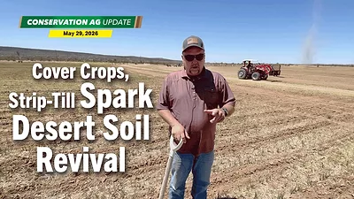 Cover Crops, Strip-Till Spark Desert Soil Revival