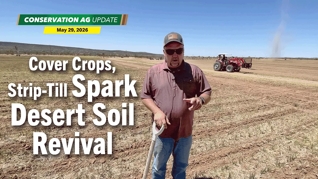 Cover-Crops,-Strip-Till-Spark-Desert-Soil-Revival.png
