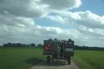 Field Day wagon