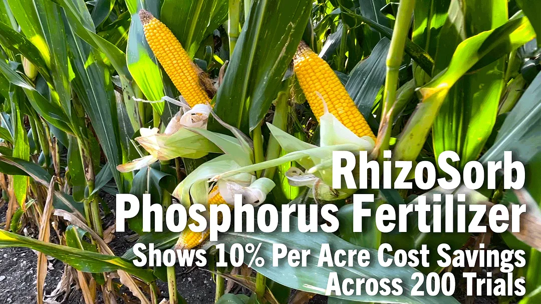 RhizoSorb-Phosphorus-Fertilizer-Shows-10%-Per-Acre-Cost-Savings-Across-200-Trials.png