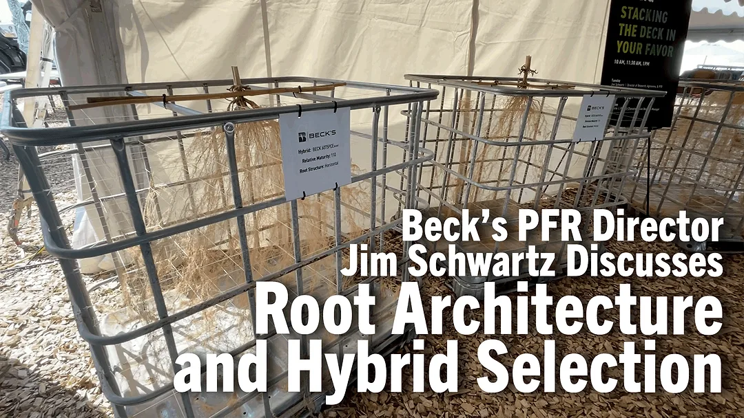 Beck’s-PFR-Director-Jim-Schwartz-Discusses-Root-Architecture-and-Hybrid-Selection.png