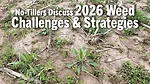 No-Tillers-Discuss-2026-Weed-Challenges-&-Strategies-.png