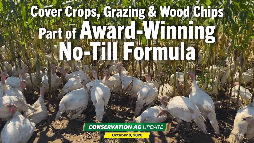 Cover-Crops,-Grazing-&-Wood-Chips-Part-of-Award-Winning-No-Till-Formula.png
