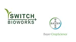 Switch_Bayer.png