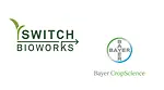 Switch_Bayer.png