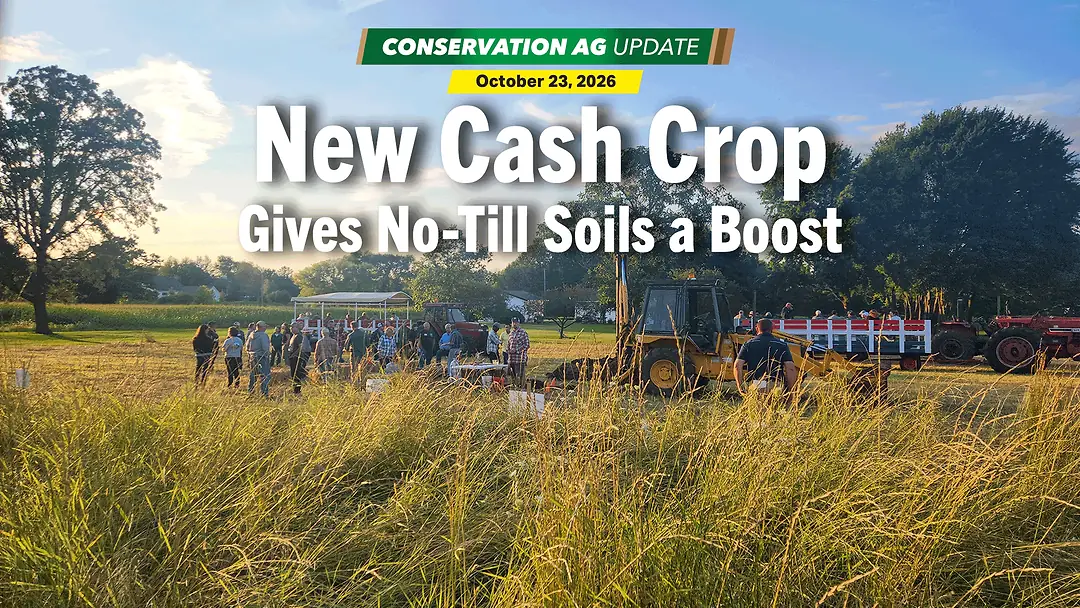 New-Cash-Crop-Gives-No-Till-Soils-a-Boost.png