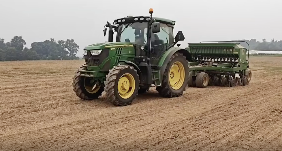 green cover seed
