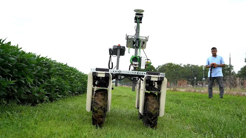 soybean-disease-detector-2.jpg