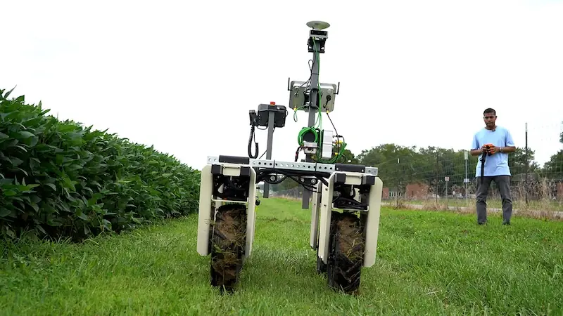 soybean-disease-detector-2.jpg