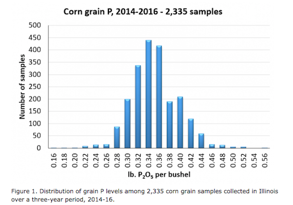 Corn Grain 2335