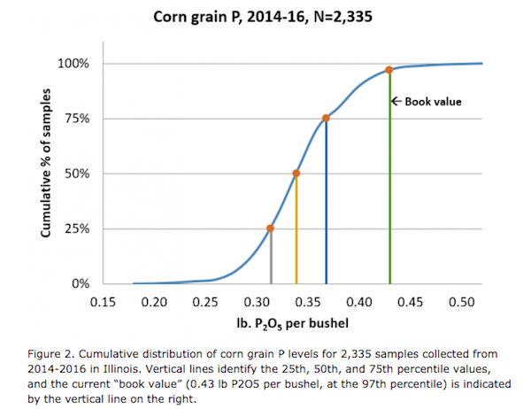 Corn Grain P