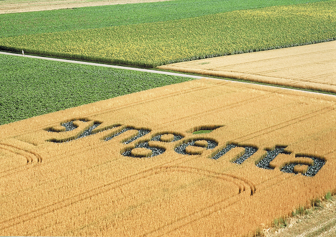 Syngenta1