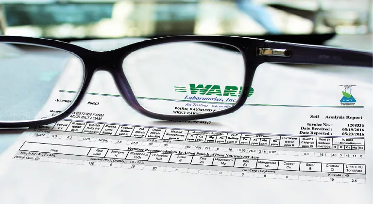 How to Read Soil Test Results: Unlock Your Garden’s Full Potential