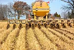 Strip-Till Strip-till