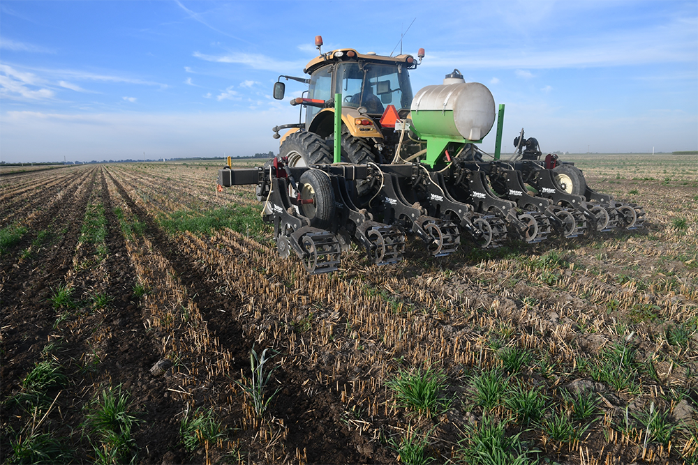 Cutting Into the Hay & Forage Market with Strip-Till