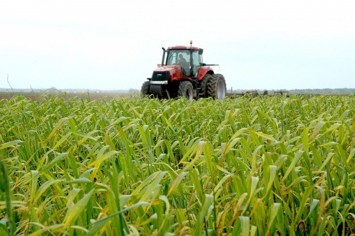 tractor-texas-a-m-fertilizer-report.jpeg