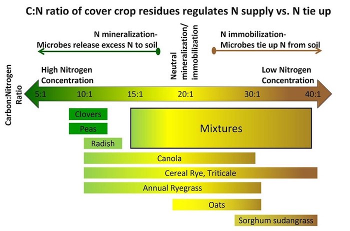 Carbon-to-Nitrogen Ratio