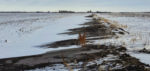 Minnesota Erosion Reduced Tillage Study.jpg