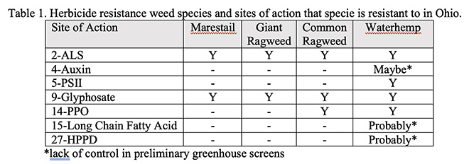 resistant-weeds.jpeg