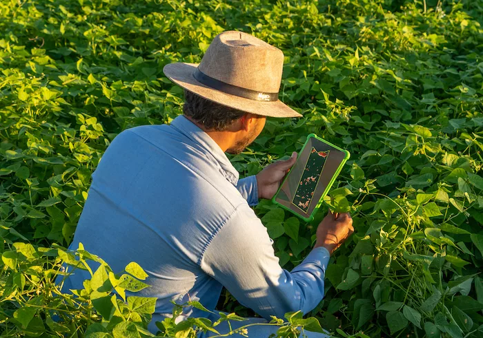 PIC_1_Syngenta_launches_world_first_digital_tool.jpg