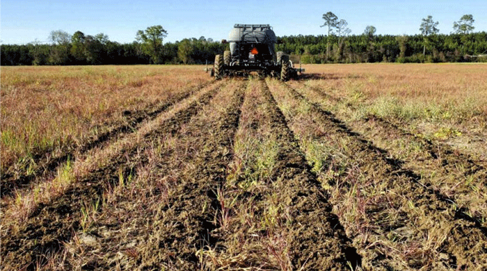 Nutrient-Micromanagement