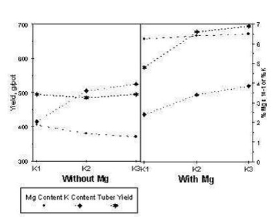 Potassium-magnesium interaction